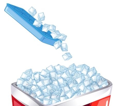 nugget ice maker