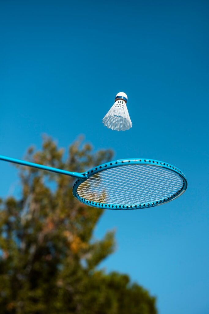 professional badminton racket
