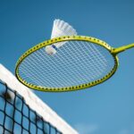 professional badminton racket