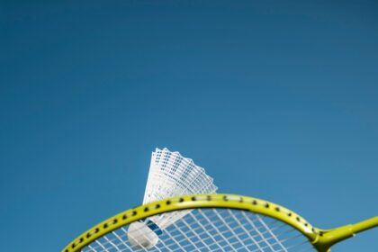 professional badminton racket