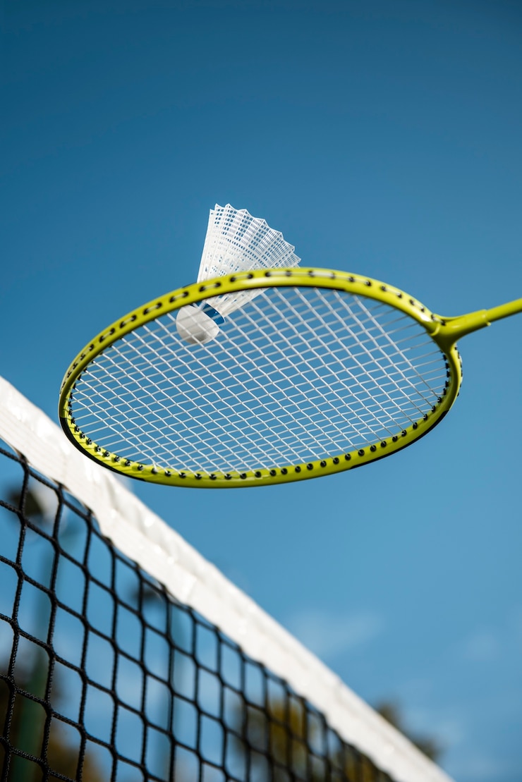 professional badminton racket
